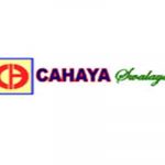 cahaya-department-store-client-servicejasa